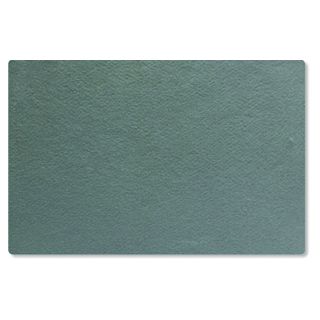 Parrot Pin Boards